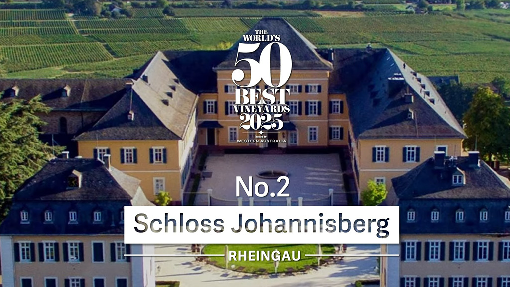 Spirito Italiano vik,best Spirito Italiano vik,best