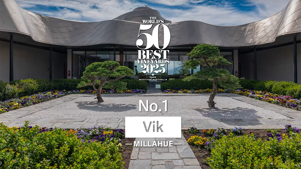 Spirito Italiano vik,best Spirito Italiano vik,best