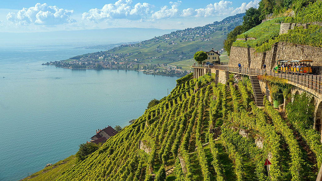 Spirito Italiano vins extremes,eroica Spirito Italiano vins extremes,eroica