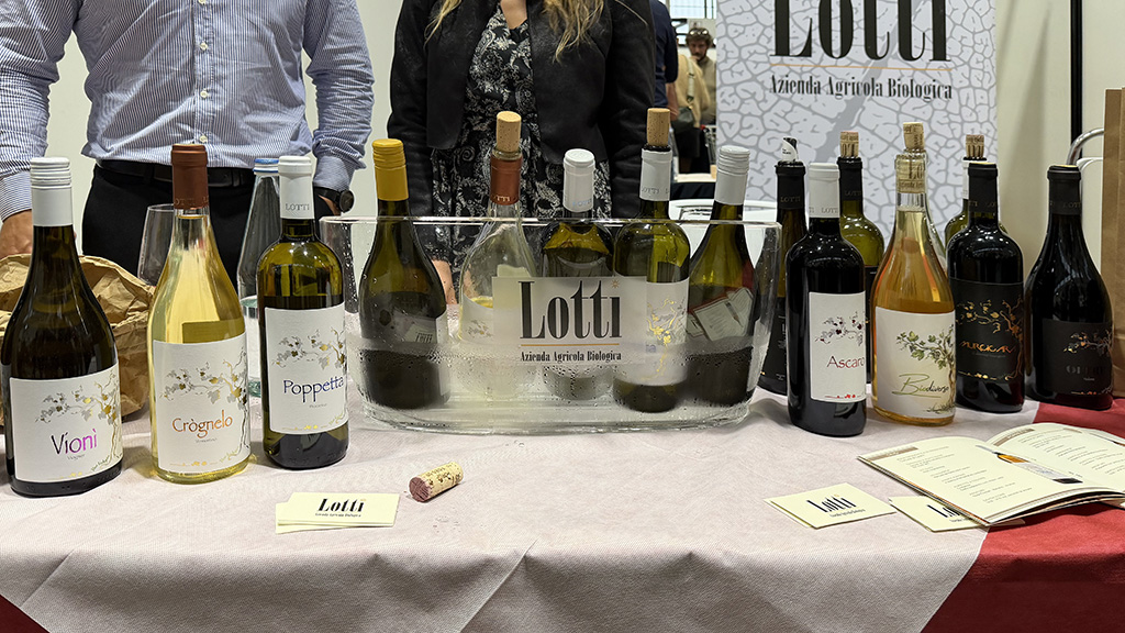 Spirito Italiano fivi,mercato Spirito Italiano fivi,mercato