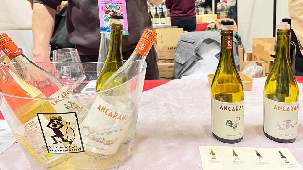 Spirito Italiano fivi,mercato Spirito Italiano fivi,mercato