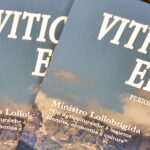 Spirito Italiano spirito italiano Spirito Italiano spirito italiano