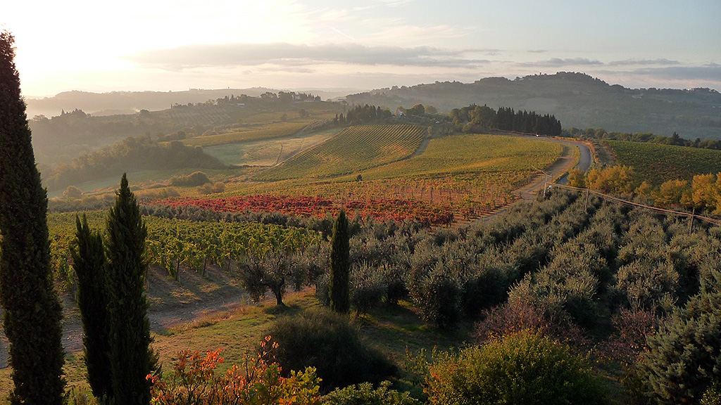 Spirito Italiano montespertoli,enogea,vino Spirito Italiano montespertoli,enogea,vino