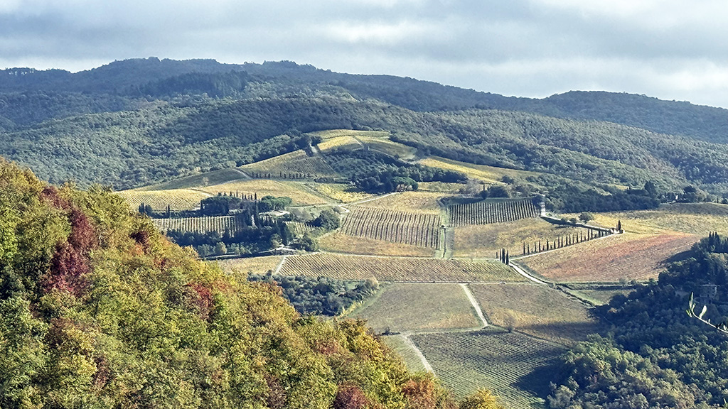 Spirito Italiano mary shea,toscana,chianti Querceto di Castellina