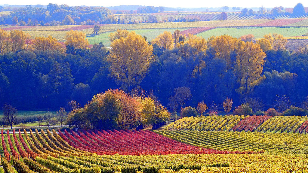 Spirito Italiano ngt,ogm,europa Spirito Italiano ngt,ogm,europa