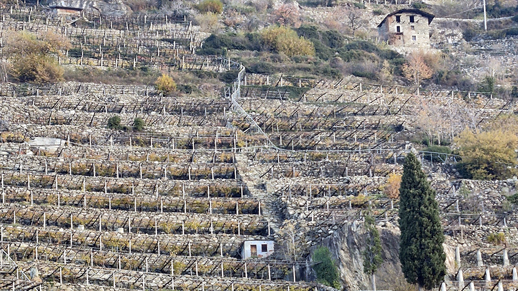 Spirito Italiano vins,extremes,bard,viaggio Spirito Italiano vins,extremes,bard,viaggio