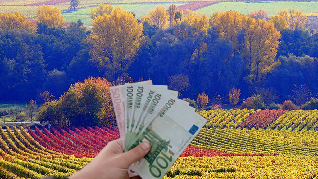 Spirito Italiano vino,pacchetto,ue Spirito Italiano vino,pacchetto,ue