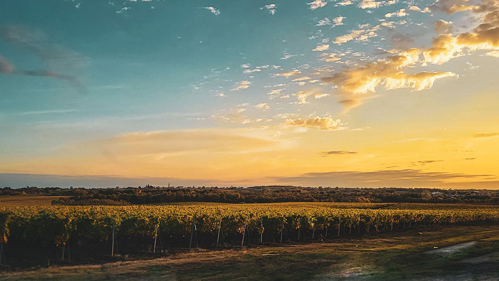 Spirito Italiano mercosur,ue Spirito Italiano mercosur,ue