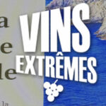 Spirito Italiano spirito italiano Spirito Italiano spirito italiano