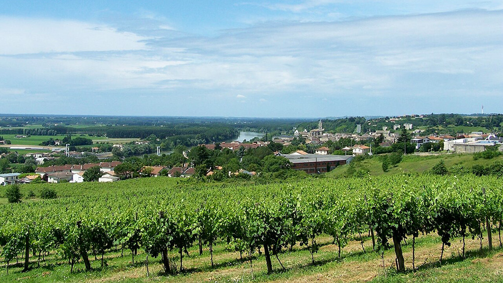 Spirito Italiano entre,deux,mers Spirito Italiano entre,deux,mers