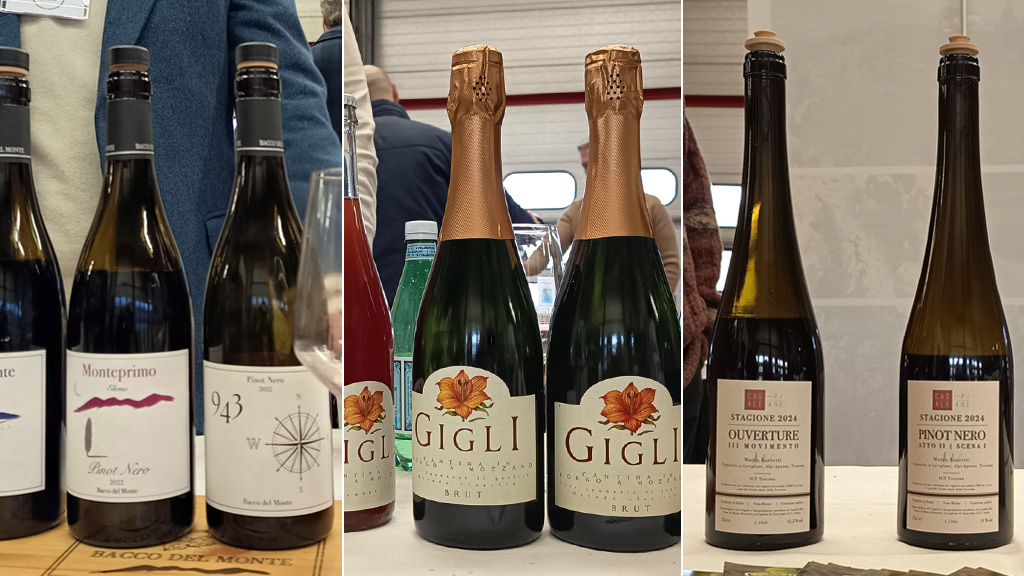 Spirito Italiano appenninia,vino,terre alte Spirito Italiano appenninia,vino,terre alte