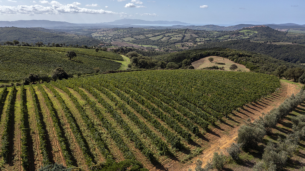 Spirito Italiano morellino,chianti,migliori,sangiovese Spirito Italiano morellino,chianti,migliori,sangiovese