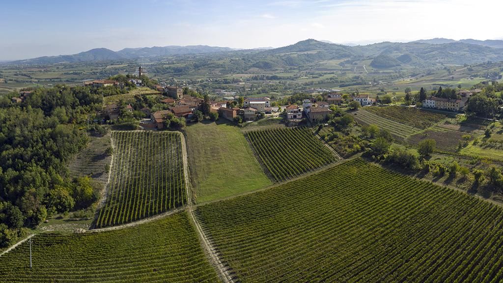 Spirito Italiano derthona,timorasso Colli Tortonesi