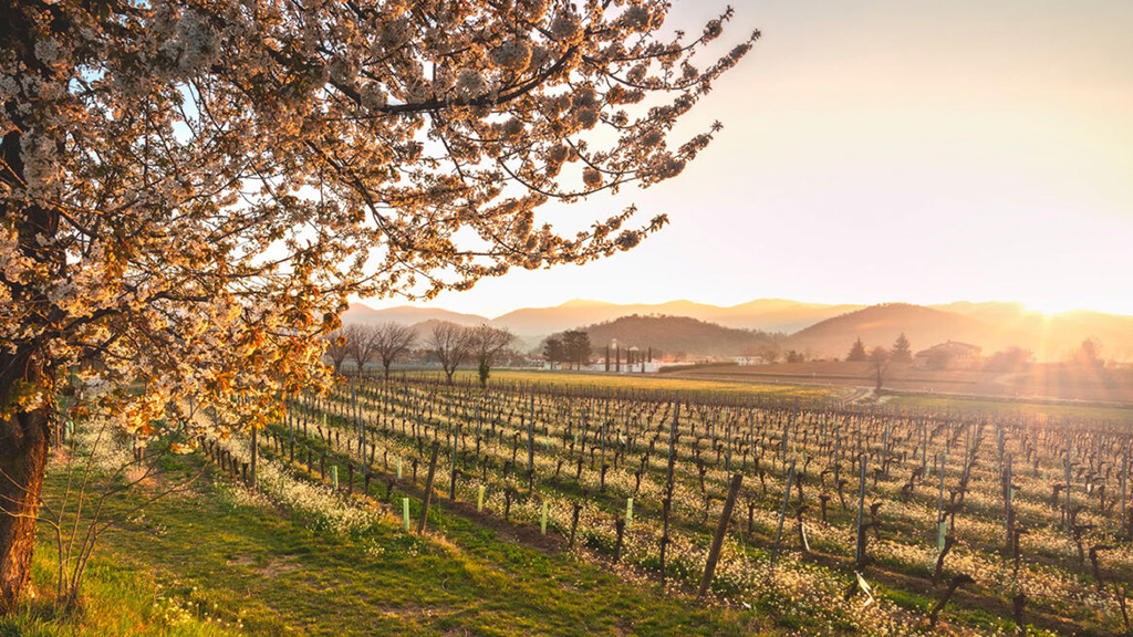 Spirito Italiano franciacorta,festival Franciacorta, Festival di Primavera