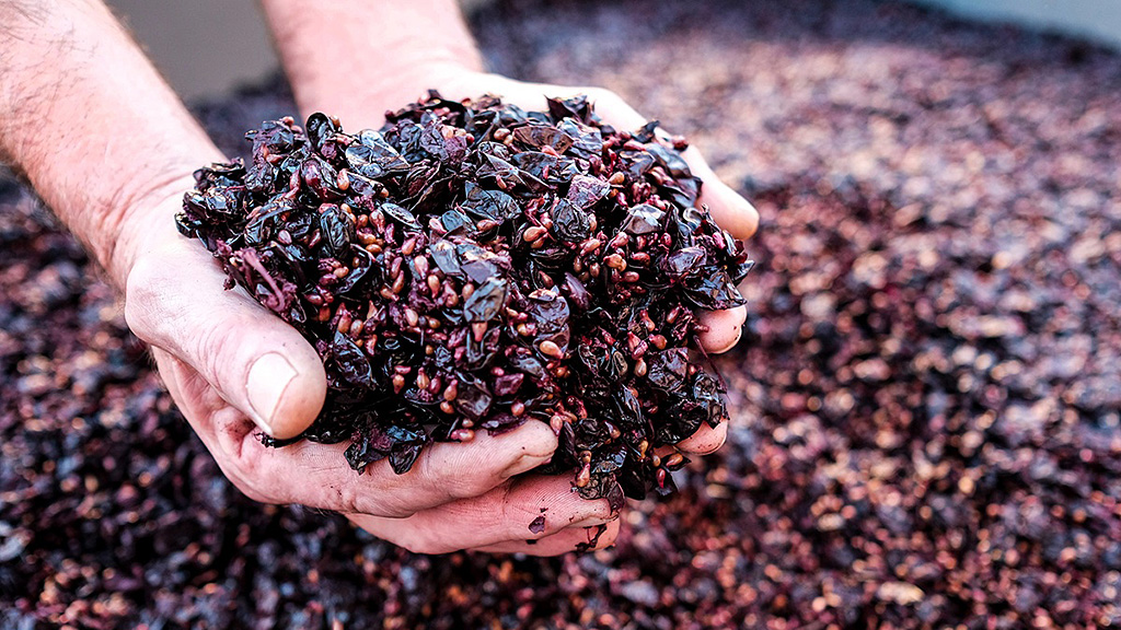 Spirito Italiano grappa Grappa Vinaccia © courtesy: Istituto Tutela Grappa del Trentino