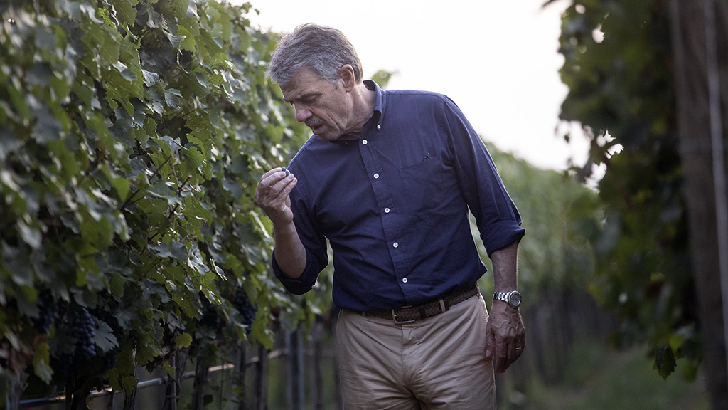 Spirito Italiano cotarella,winemaker,award Renzo Cotarella Winemakers' Winemaker Award 2026 - Institute of Masters of Wine