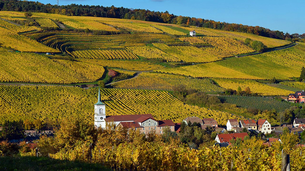 Spirito Italiano riesling,maestà formica Alsace - ph. Hub Jacqu