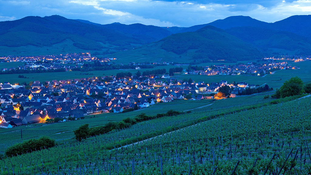 Spirito Italiano riesling,maestà formica Alsace - ph. P. Serrand