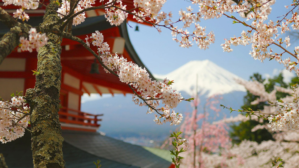 Spirito Italiano tatsu,koshu,mugello,ozaki Veduta da Yamanashi, ph. Rafael Hideki Tamanaha