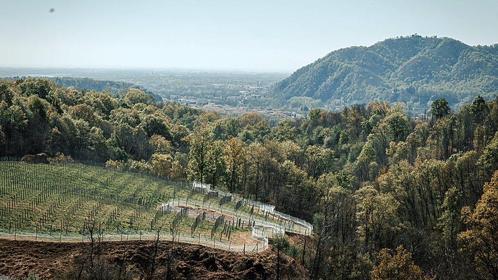 Spirito Italiano alto piemonte,mappa Vigneti nell'Alto Piemonte - ph. courtesy Consorzio tutela nebbioli Alto Piemonte
