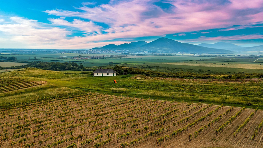 Spirito Italiano dop,europa,slovacchia Slovacchia, vigneti