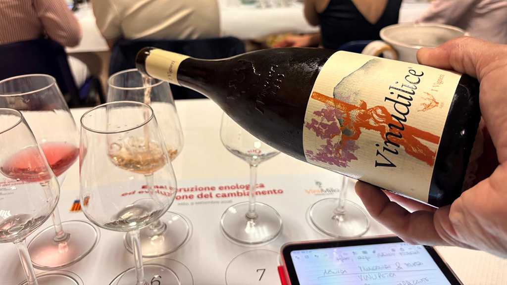 Spirito Italiano vinimilo,etna,vino Spirito Italiano vinimilo,etna,vino