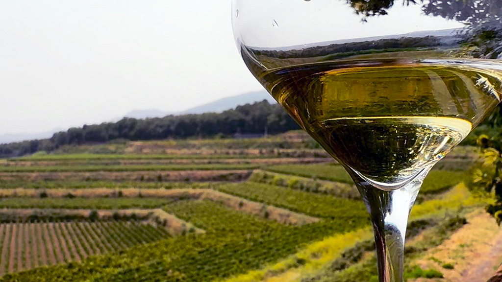 Spirito Italiano vinimilo I vigneti terrazzati di Milo - courtesy Uff stampa ViniMilo