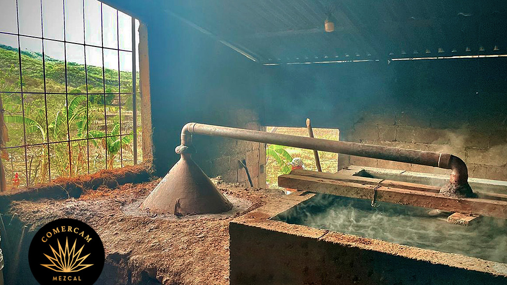 Spirito Italiano mezcal,distillazione Mezcal: distillazione - credits: Consejo Mexicano Regulador de la Calidad del Mezcal