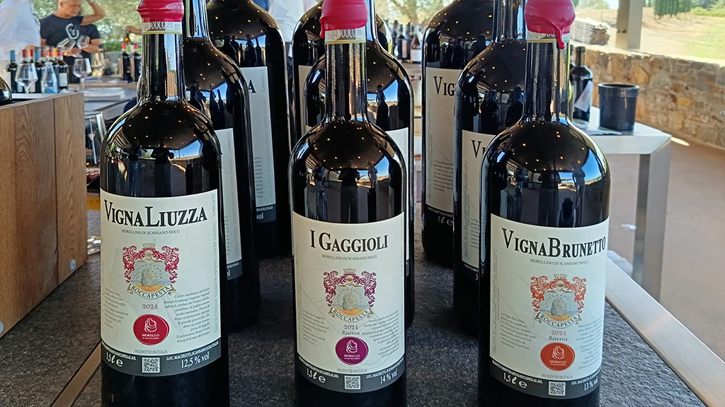 Spirito Italiano brunetto,roccapesta,sangiovese,morello Vigna Liuzza - I Gaggioli - Vigna Brunetto
Progetto Morello Roccapesta