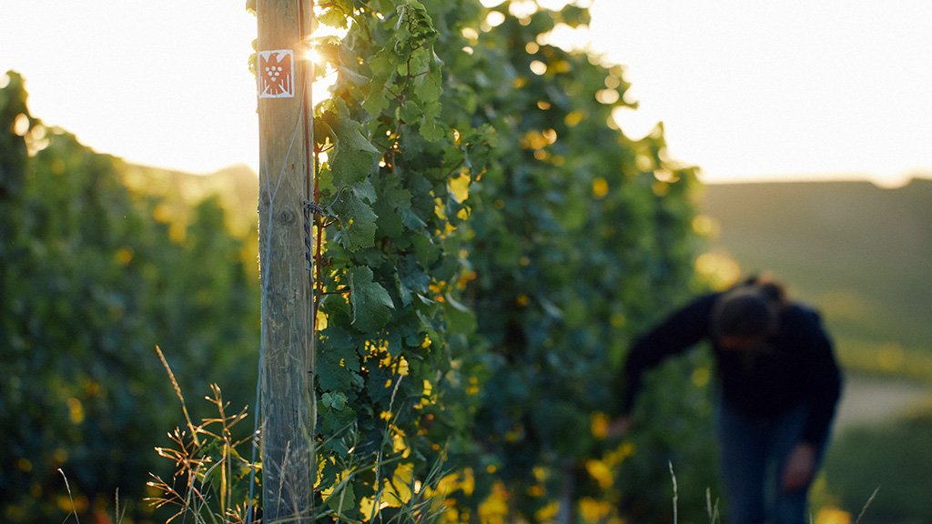 Spirito Italiano germania,vino,vdp,2026 Spirito Italiano germania,vino,vdp,2026